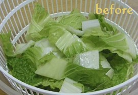 サラダスピナー・TOKIGで水切りする前の白菜
