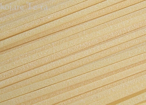 ガロファロ・オーガニックスパゲッティの麺の表面をアップ